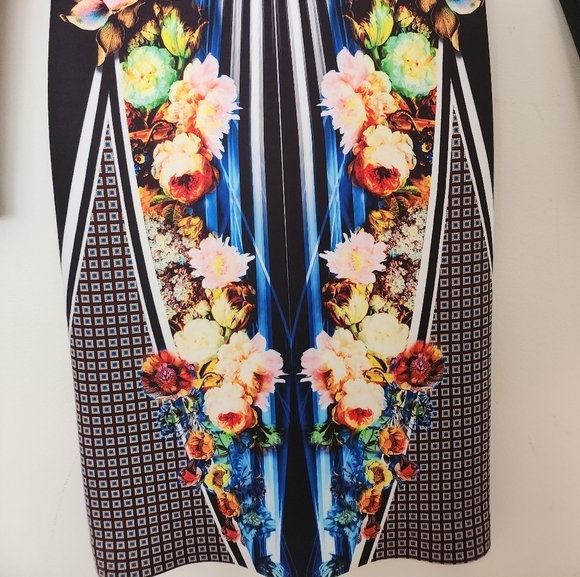 Clover Canyon Winter Solstice Long Sleeve Sheath Dress Size Medium - Picture 9 of 14